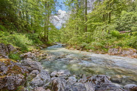 Gemeinde Ramsau Landkreis Berchtesgadener_Land Zauberwald am Hintersee (Dirschl Johann) Deutschland BGL